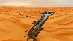 Sob o deserto mais seco da Terra, a 2 metros de profundidade, descobriram um «oásis»