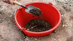 Porque enterrar um balde no meio da horta: o truque do jardineiro que quase ninguém conhece