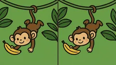 Quebra-cabeças: consegue encontrar as 3 diferenças na imagem do macaco na árvore?