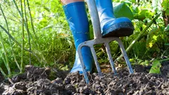 Jardim em março: 4 tarefas extremamente importantes para fazer até ao final do mês