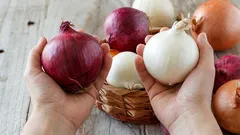Poucos sabem: esta é a diferença mais importante entre a cebola branca e a cebola roxa
