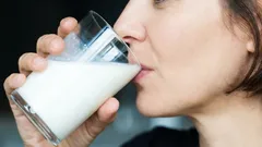 Não é só leite: nutricionistas apontam as bebidas com mais proteína