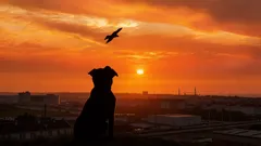 Deixaram um cão na rua com um bilhete cruel: o conteúdo entristeceu até os voluntários