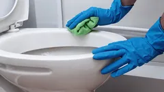 Nenhum produto limpou tão bem quanto este: a sanita ficou branca como a neve