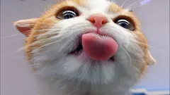 Que sabor é que os gatos não conseguem distinguir? A resposta vai mesmo surpreender